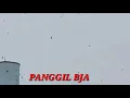 Download Lagu Suara panggil  walet BJA original