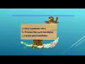CHAPTER 3C FIBER OPTIC