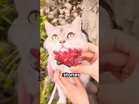 She Bought Fake Stones, But Buddy Found the Real One 💚