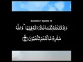 Download Lagu #Quran #Tajweed #Recitation #Islam #IslamicContent #IslamicReminder #QariVoice #TajweedRules
