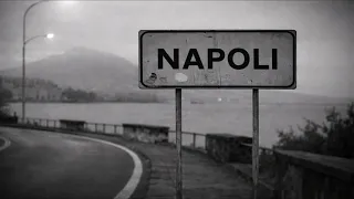 Dani Mocanu - Info de la Napoli