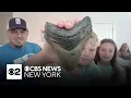 Family finds megalodon tooth at Jersey Shore beach