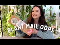 I Did Some Plant Shopping After the Wishlist Etsy The Green Escape