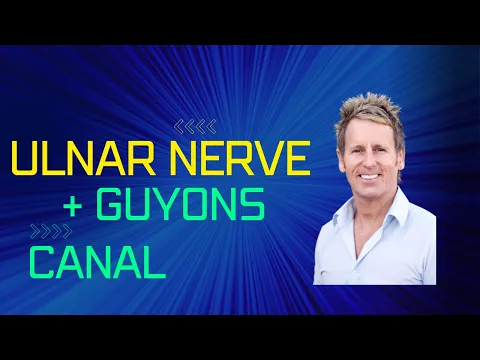 Download MP3 Anatomy of the Ulnar Nerve \u0026 Guyon's Canal