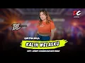Download Lagu SHEPIN MISA - KALIH WELASKU (OFFICIAL LIVE MUSIC) - DC MUSIK