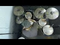 A Town Called Obsolete - Andreya Triana (Drum Cover)