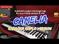 Lagu CAMELIA (SUDAHLAH JANGAN MENANGIS LAGI) KARAOKE DANGDUT KOPLO STK CHANNEL 