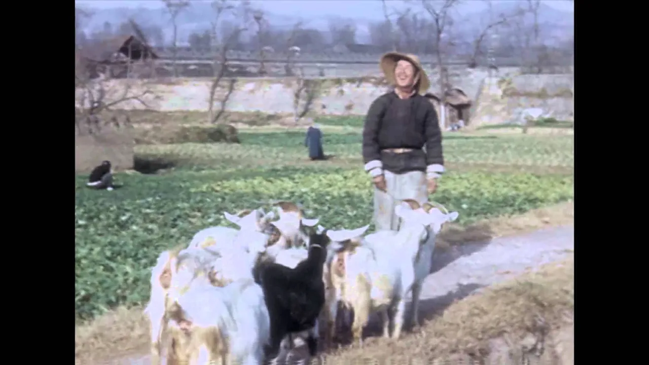 Kina 1947.16 mm color movie  by Carl Mortensen,  adapted by Kalle Fürst