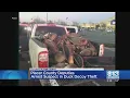 Theft Victim Finds Their Duck Decoys For Sale On Craigslist Arranges Meeting With Suspect