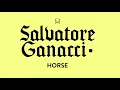Salvatore Ganacci  - Horse (Black V Neck Remix) [Official Audio]