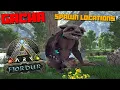 ARK Fjordur BEST Gacha Spawn Locations Asgard Vanaheim Realms