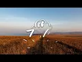 Jelly Roll - Winning Streak (Lyrics)
