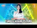 Lagu Diandra Ayu ft Ageng Music - Tunggu Abang Pulang (Official Live Music)