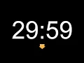 30 Minutes Countdown Timer 29 59 to 00 00 1800 Seconds