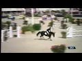 Lagu Chao Lee By Comme Il Faut x Chacco Blue x Kannan. 6yo world champion 2019