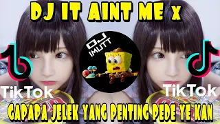 Download DJ IT AINT ME x GAPAPA JELEK YANG PENTING PEDE YE KAN REMIX VIRAL TIKTOK FULL BASS TERBARU 2021 MP3