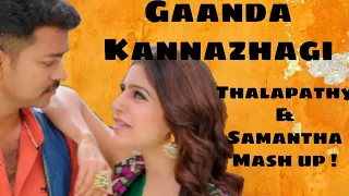 gaanda kannazhagi thalapathy u0026 vijay version namma veetu pillai hope you media editz