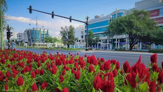 مدينة العين أبو ظبي الإمارات Al Ain Abu Dhabi UAE 