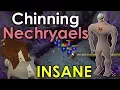 Testing Chinchompas at Nechryaels OSRS