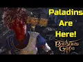 Baldur s Gate 3 Patch 9 News from Panel From Hell 7