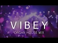 Download Lagu Organ House Mix 2023