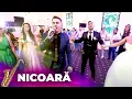 Download Lagu Fane Banateanu si Petrica Nicoara - Live de Joc