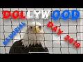 Dollywood on Memorial Day