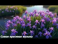 Download Lagu Самые волшебные мелодии в мире🌿Красивое видео цветения цветов🌿Великолепная музыка Сергея Грищука