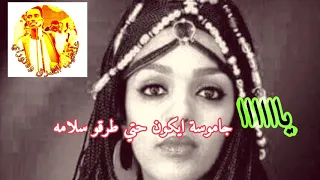 Tigre Music Ibrahim Nory ابراهيم نوراي اغنية جاموسة 