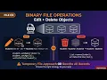 Binary File Operations - Edit and Delete Objects Tutorial