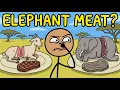 Why Do We Never Eat Elephant Meat