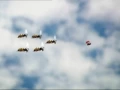 Download Lagu Patrouille de bzzz