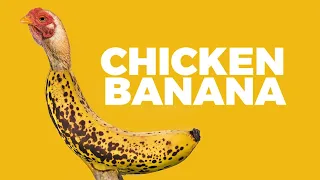 CHICKEN BANANA  CHICKEN BANANA
