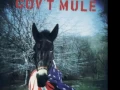 Gov't Mule - Mule