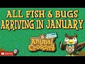 ACNH ALL NEW FISH AND BUGS IN JANUARY Animal Crossing New Horizons January Fish Bugs