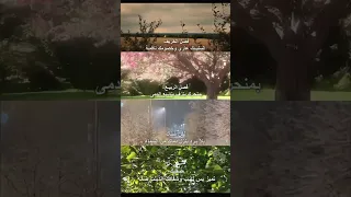 باسم الكربلائي قصيدة الفصول الاربعة لكن شتاك بلا برد ينزل دماك من السماء باسم الكربلائي 