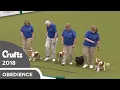 Obreedience - Canny Cavaliers Crufts 2018