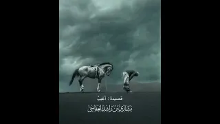 وصل حبلي بحبل رضاك وانظر الي     دندنها