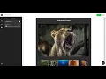 How to Create a Photo Gallery Widget for Your Website using Elfsight