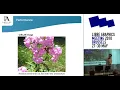 Color Management and other new developments in Ghostscript