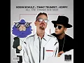 Robin Schulz x Timmy Trumpet x KOPPY - All The Things She Said (Official Audio)