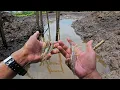 Download Lagu Ikan langsung HAUP mancing pakai Umpan super jitu ini