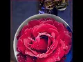 I Want You Around (Saxophone) - Nathan Allen