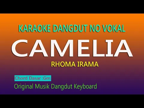 Download MP3 CAMELIA KARAOKE RHOMA IRAMA