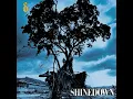 45 - Shinedown