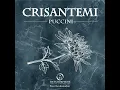 Crisantemi, SC 65