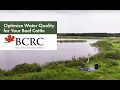 Optimize water quality for beef cattle with the BCRC Water Systems Calculator