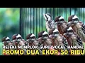Download Lagu GURU VOCAL HANDAL PLATUK !! PROMO DUA EKOR 50 RIBUAN DI PASAR BURUNG PRAMUKA