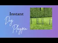 FXW Instant Dog Playpen Review