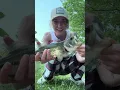Download Lagu Senko senko senko! #fishing #shorts